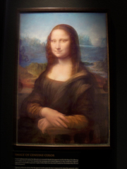 Mona Lisa Image Denver NSM