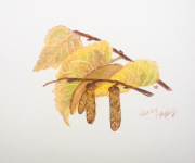 Autumn Promise