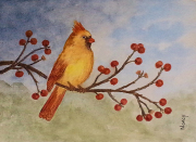 Golden Cardinal