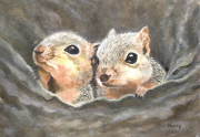 Lookout Buddies