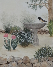 Tranquil Garden