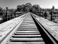 Arstein Black and White-10
