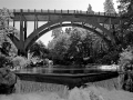 Arstein Black and White-11