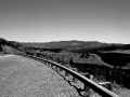 Arstein Black and White-2