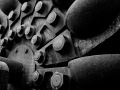Arstein Black and White-20