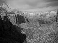 Arstein Black and White-21