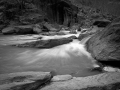Arstein Black and White-22