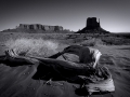 Arstein Black and White-23