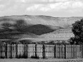 Arstein Black and White-8