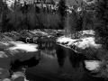 Arstein Black and White-9