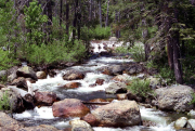 Salmon Creek, Bassetts, CA