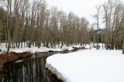 Winter at Cisco Grove