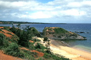 A Beach on Okinawa