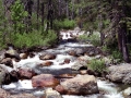 Salmon Creek, Bassetts, CA