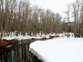 Winter at Cisco Grove