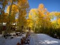 Fall Colors in Hope Valley, CA