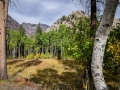 June Lake Loop