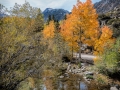 Lake Sabrina Road, Bishop Canyon
