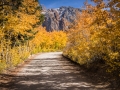 North Lake Road