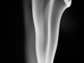Arstein Smoke-5