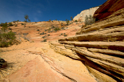 Arstein Utah-10