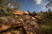 Arstein Utah-14