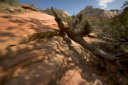 Arstein Utah-15