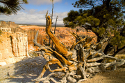 Arstein Utah-16