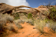 Arstein Utah-19