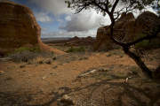 Arstein Utah-27