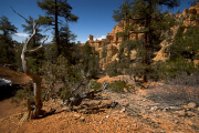 Arstein Utah-31