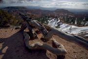 Arstein Utah-34