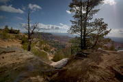 Arstein Utah-35