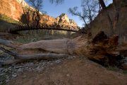 Arstein Utah-38