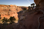 Arstein Utah-5