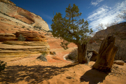 Arstein Utah-7