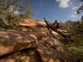 Arstein Utah-14