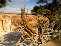 Arstein Utah-16