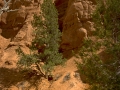 Arstein Utah-18
