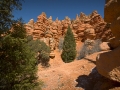 Arstein Utah-30