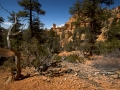 Arstein Utah-31