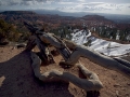 Arstein Utah-34