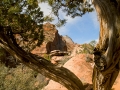 Arstein Utah-39