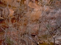 Arstein Utah-40