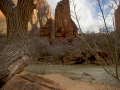 Arstein Utah-41