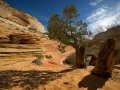 Arstein Utah-7