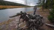 Arstein Yellowstone and Grand Tetons-16