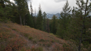 Arstein Yellowstone and Grand Tetons-19