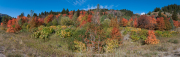 Arstein Yellowstone and Grand Tetons-27