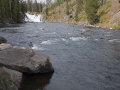 Arstein Yellowstone and Grand Tetons-15